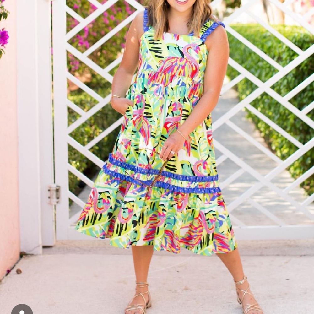 ⭐️NWT⭐️ Crosby By Mollie Burch Bowie Dress size Medium
